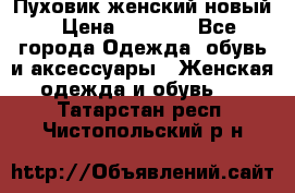 Пуховик женский новый › Цена ­ 2 600 - Все города Одежда, обувь и аксессуары » Женская одежда и обувь   . Татарстан респ.,Чистопольский р-н